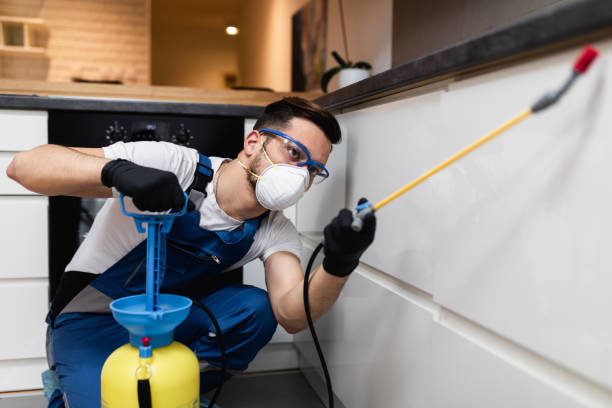 Best Wasp Removal Services  in Johnson City, NY