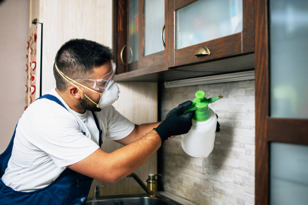 Best Mosquito Control Services  in Johnson City, NY