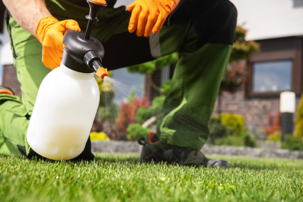 Pest Control Cost in Johnson City, NY