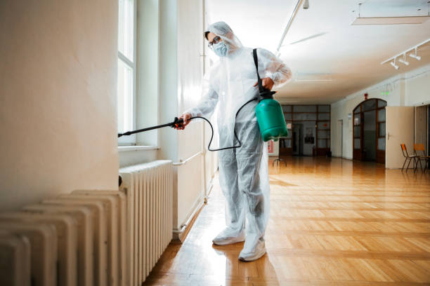 Trusted Johnson City, NY Pest Control Experts