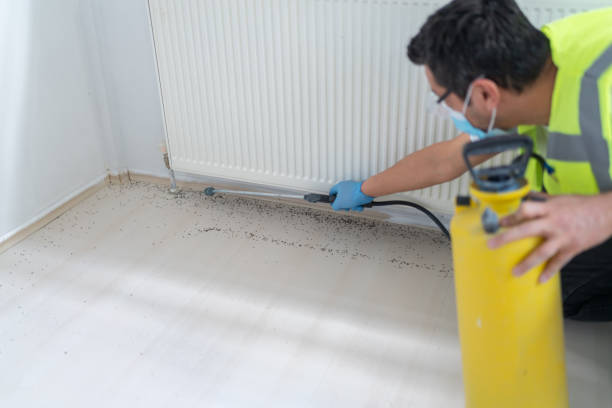 Best Emergency Pest Control  in Johnson City, NY