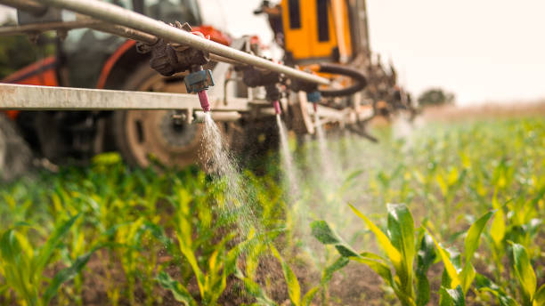 Best Pest Control for Businesses  in Johnson City, NY